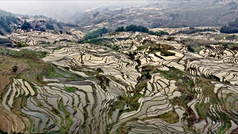 深圳工厂电子组装用连接器选型对比：航空插头与矩形连接器技术要点